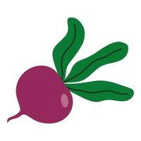 Beet doodle icon vector