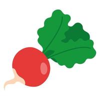 Radish doodle icon vector