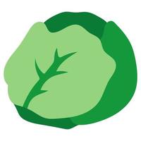 Green cabbage doodle icon vector