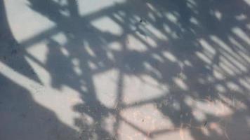 superposición de fondo con adornos de sombra de hoja en una pared azul foto
