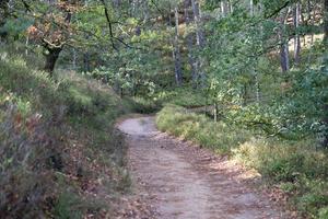 Mountainbike trails in the Nature Reserve Fishbek heather photo