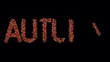 3d animated halloween lantern particle typeface forming the word autumn video