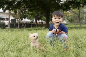 Boy and brown chihuahua on the lawn at the park, cute pet children and dogs. pet best friend photo