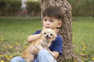 un niño asiático se sienta con su mascota chihuahua en el parque por la noche. mejor amigo mascota. niño y perro, lindos amigos abrazados amorosamente foto