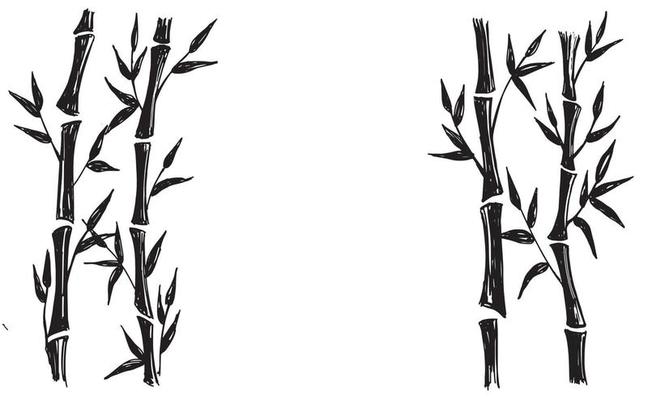 Bamboo tree. Hand drawn style. Vector illustrations.