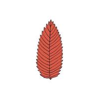 Vector illustration of ashberry leaf in cartoon style. Colorful isolated element for graphic design