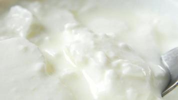 Close up of spoon scooping rich plain yogurt video