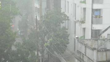 venster visie van regen vallend Aan bomen en appartement gebouwen video