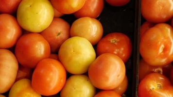 Overhead panning view of red and yellow slicing tomatoes video