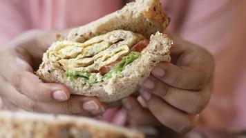 Close up up person holding a partially eaten sandwich video