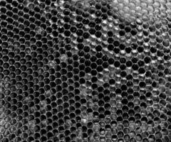 Abstract hexagon structure is honeycomb from bee hive photo