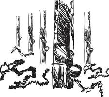 Ilustración de vector de dibujo de línea de árboles de caucho.