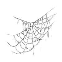 Spinnennetz-Sprechblase png