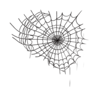 spin web toespraak bubbel png