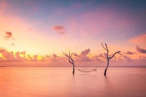 Beautiful bright sunset on a tropical paradise beach. Abstract long exposure water and sky, tree branches with swing or hammock. Amazing lagoon, island shore, relaxation, recreation leisure carefree photo