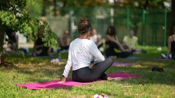 gruppo di persone fare yoga insieme nel un' parco video