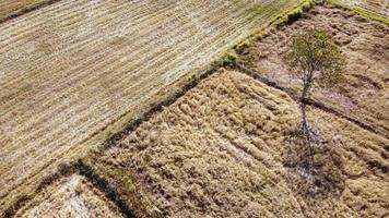 vista aérea, parcela agrícola, condiciones de sequía después de la temporada de cosecha, fotografía con drones. foto