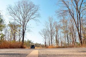 One car parked along the road in the forest on a clear blue sky day. photo