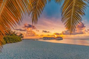 tranquila puesta de sol en la playa en maldivas. isla de playa paraíso, fondo para viajes de verano y paisaje costero de vacaciones. hojas de palmeras tropicales mar cielo horizonte sobre arena. increíble patrón de naturaleza tropical
