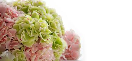 Beautiful bouquet flower on white background use for banner background photo