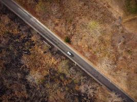 vista aérea, el camino pasa a través de un bosque seco de color amarillo anaranjado. algunas partes fueron destruidas por un incendio forestal. foto