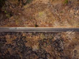 vista aérea, el camino pasa a través de un bosque seco de color amarillo anaranjado. algunas partes fueron destruidas por un incendio forestal. foto