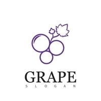 grape logo design symbol vector