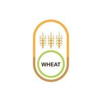 wheat logo design vector