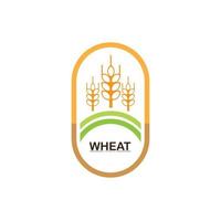 wheat logo design vector