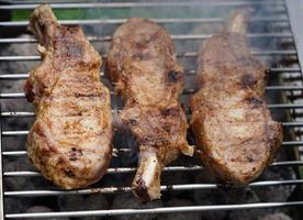 grilled meat from the charcoal grill photo