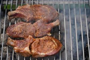 grilled meat from the charcoal grill photo