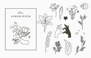 Beauty occult icon collection with hand,geometric,flower vector