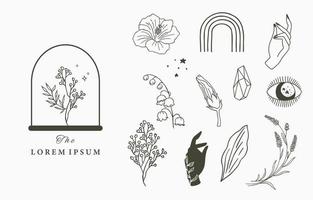 Beauty occult icon collection with hand,geometric,flower vector