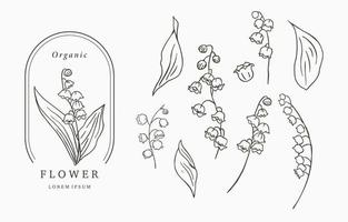 Black line flower collection with lily of the vallay on white background vector