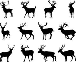 The set of Deer Silhouette collection vector