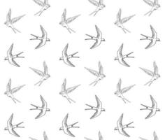 Seamless pattern of swallows vector