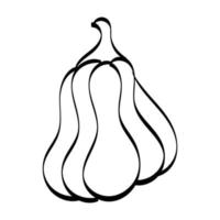 Simple Pumpkin Line Drawing. Black and white Autumn Pumpkin vector