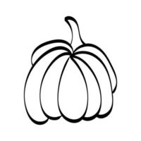 dibujo de línea de calabaza simple. calabaza de otoño en blanco y negro vector