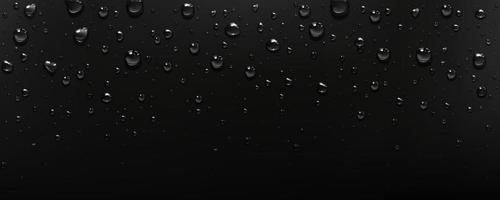 gotas de agua pura y clara sobre fondo negro vector