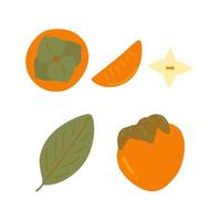 conjunto de frutas, hojas y rodajas de caqui dibujado a mano. , minimalismo. pegatina de icono aislado vector