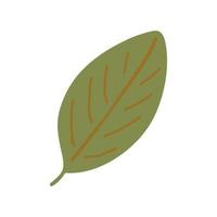 leaf hand drawn. , minimalism isolated icon sticker vector