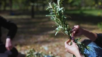 People wrap twine around branches for decorating outdoors video