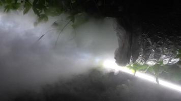 un' camminare nel il nebbioso boschi a notte video