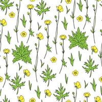 Seamless floral pattern Buttercup flower or Crowfoot vector illustration isolated on white background, decorative herbal texture, colorful backdrop for design medicine, wedding invitation, cosmetics