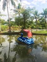 An empty duck-shaped water bike photo