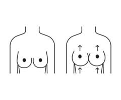 Woman breast lift, increase in size and reshape, line icon. Different shape and size. Breast lifting. Sagging and full breast front view. Vector outline illustration