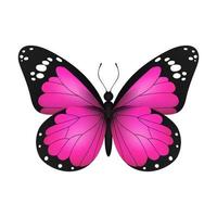 Pink realistic flying monarch butterfly on a white background. Vector illustration. Decorative print design. Colorful fairy wings.