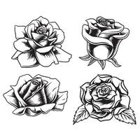 design vector line art set rose