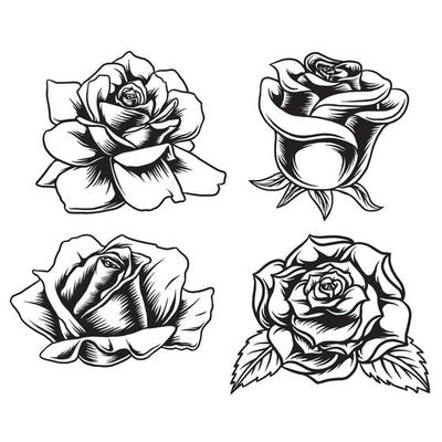 design vector line art set rose