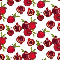 red pomegranate fruit, several fruits vector illustration